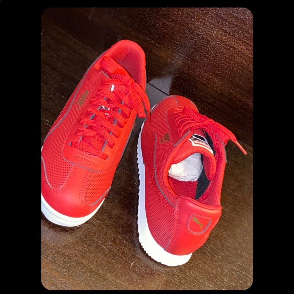 Puma